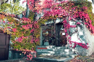 比利时大战罗马尼亚，亚亚·图雷迎来射门好时机！