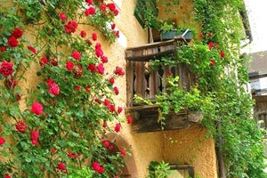 钢铁意志，荣耀征途：北京首钢险胜对手，书写不败传奇