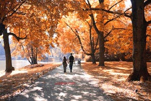 骑士连胜希望破灭，惜败掘金，未来之路何去何从？