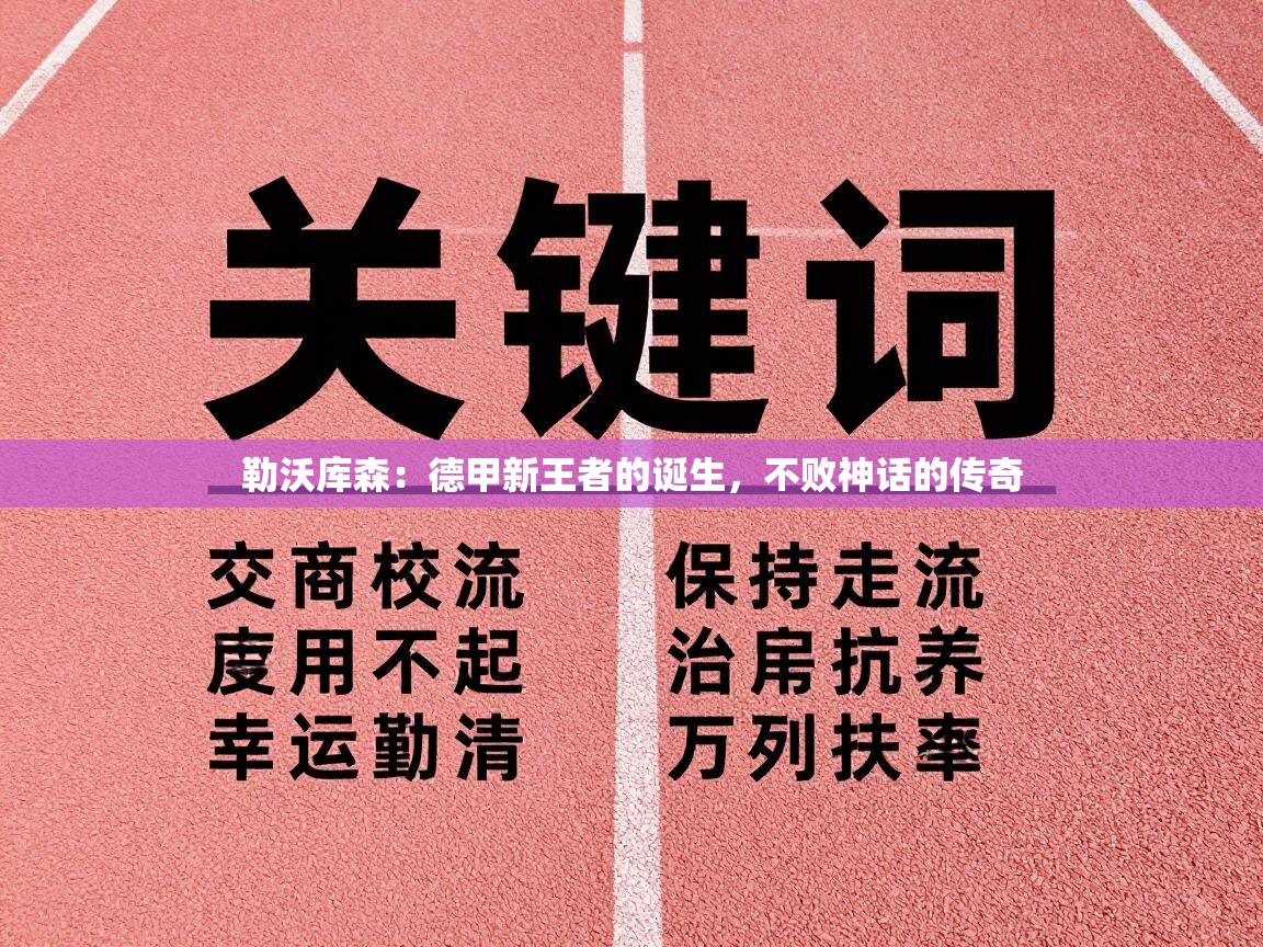 勒沃库森：德甲新王者的诞生，不败神话的传奇  第2张