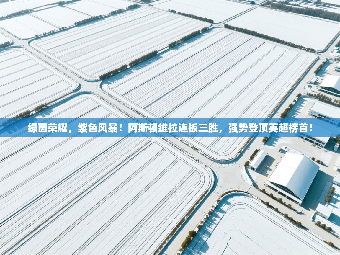 绿茵荣耀,紫色风暴!阿斯顿维拉连扳三胜,强势登顶英超榜首! 第1张