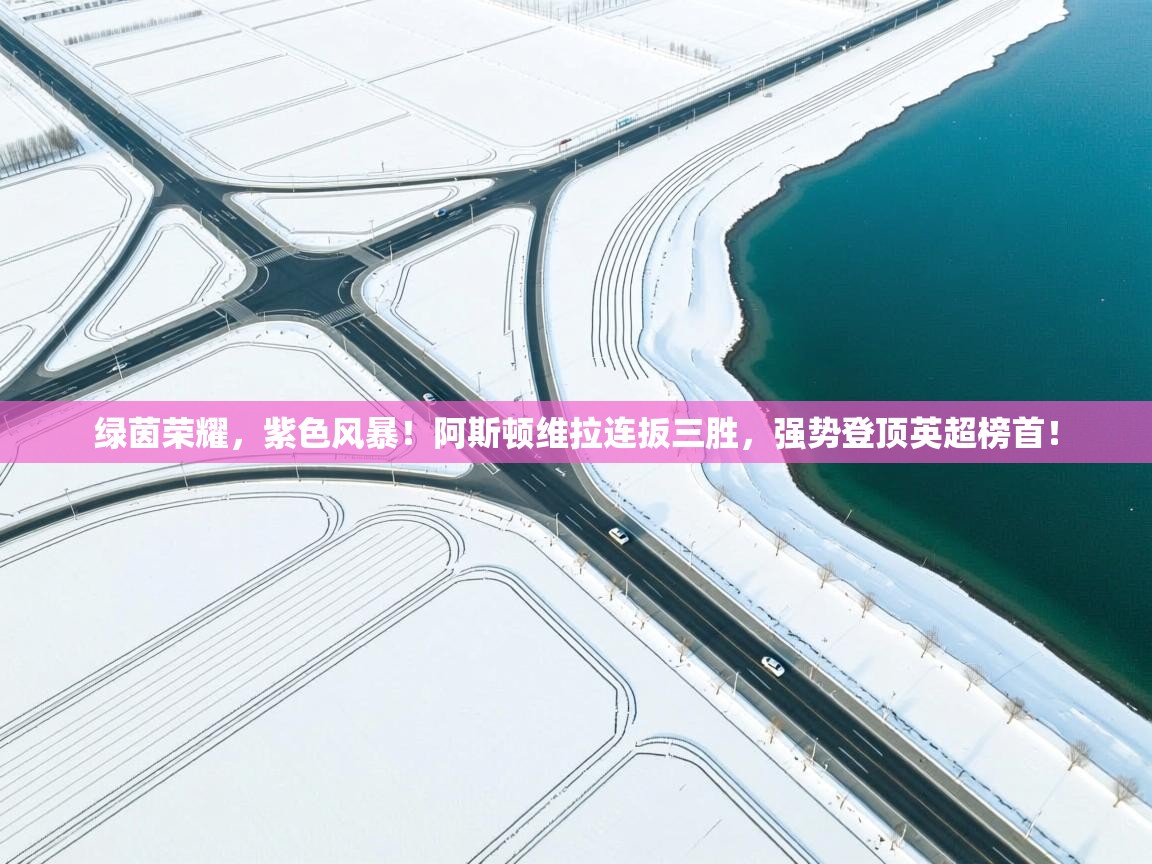 绿茵荣耀,紫色风暴!阿斯顿维拉连扳三胜,强势登顶英超榜首! 第2张