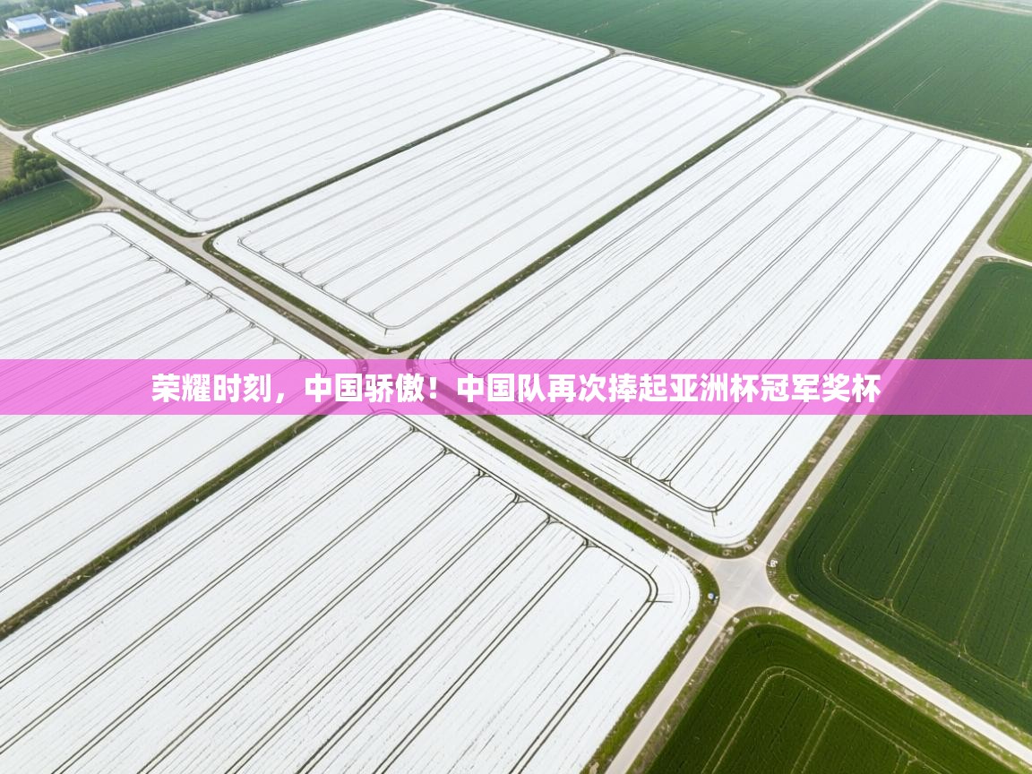荣耀时刻,中国骄傲!中国队再次捧起亚洲杯冠军奖杯 第2张