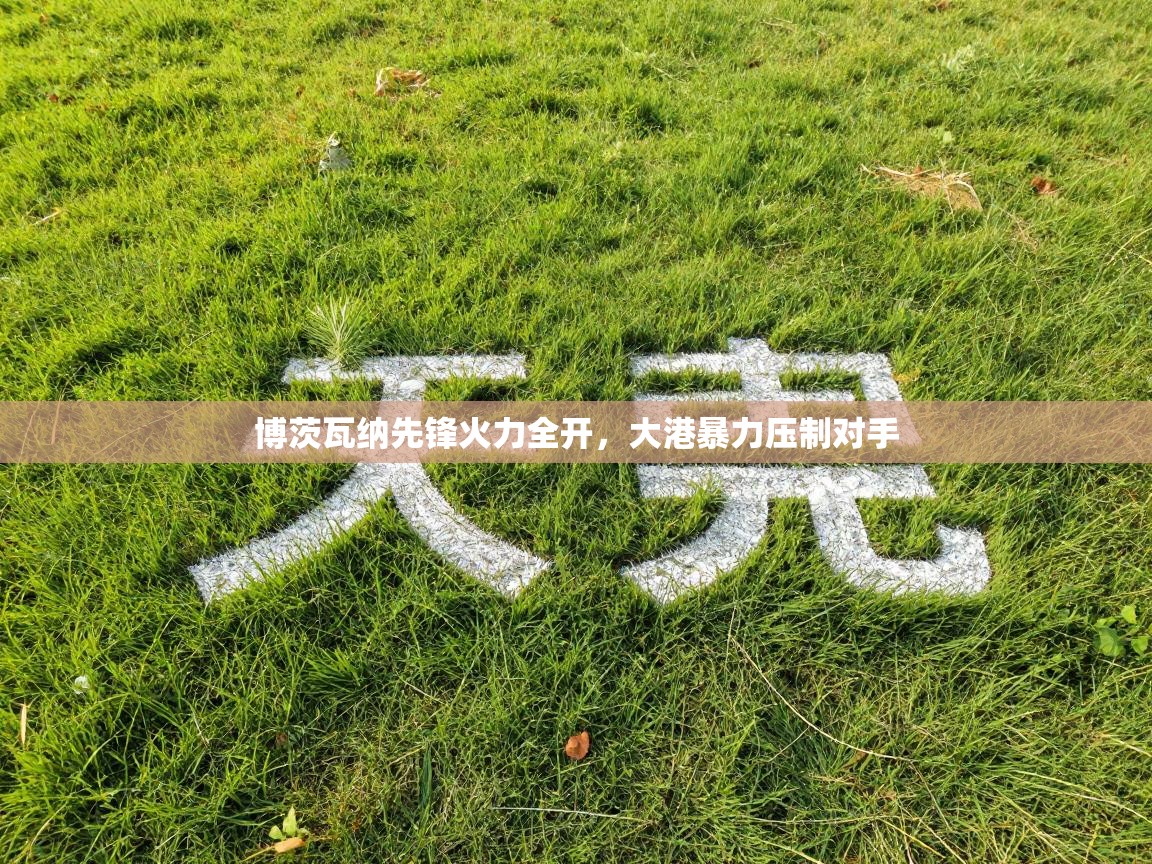 博茨瓦纳先锋火力全开,大港暴力压制对手 第1张