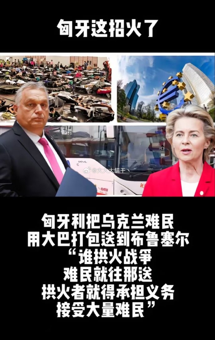 爱游戏官网-乌克兰队在欧预赛中不敌匈牙利遭遇挫败